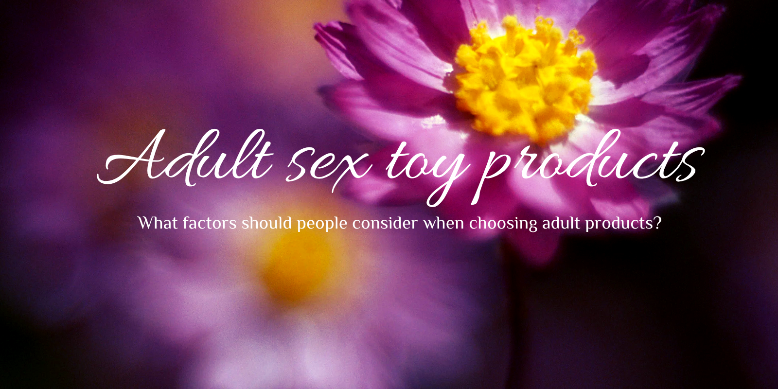 Adult sex toy products