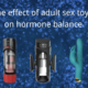 How Sex Toys Can Indirectly Influence Well-being